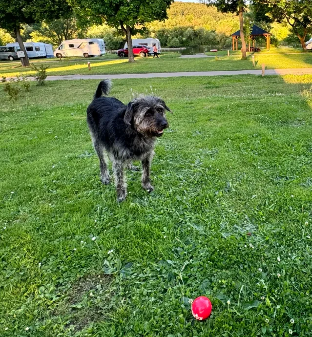 bevrachting,transport,scheepstransport,logistiek,logistics,bevrachtingskantoor,rijnmond,papendrecht